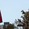 Temple flag at Wachman Hall
